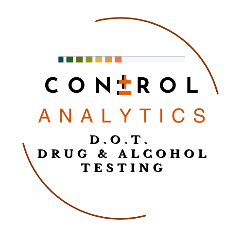 Control Analytics, LLC